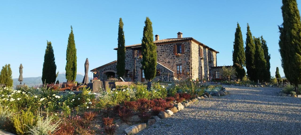 Casa Al Maestro B&B Radicofani Zewnętrze zdjęcie
